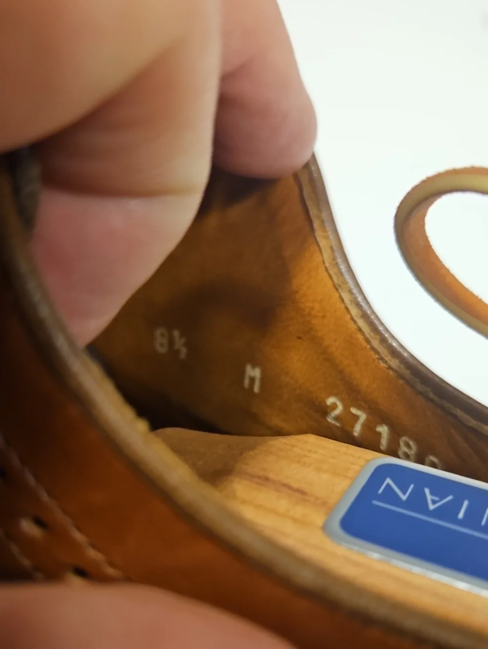 Bostonian Wingtip with canvas accent